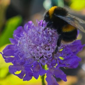 Bild von Laurel Farm Garden Centre