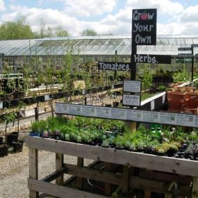 Bild von Laurel Farm Garden Centre