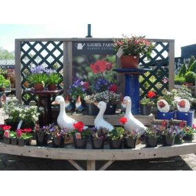 Bild von Laurel Farm Garden Centre