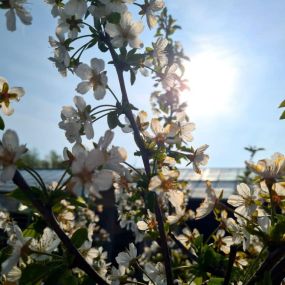 Bild von Laurel Farm Garden Centre