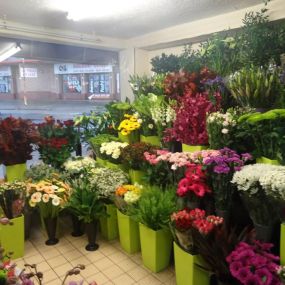 Bild von Marshall's Florist