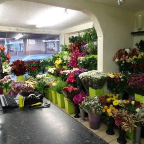 Bild von Marshall's Florist