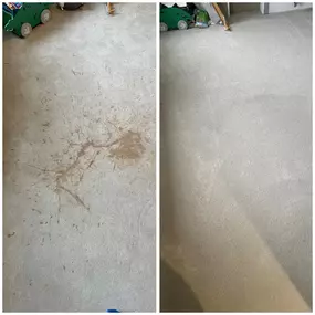 Bild von Leyland Cleaning Services ltd