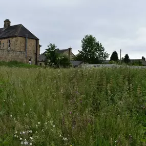 Bild von D P Construction NE Ltd