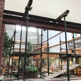 Bild von D P Construction NE Ltd