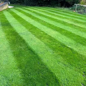 Bild von Moorlands Lawn Care