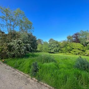 Bild von Hawley Hedges & Trees