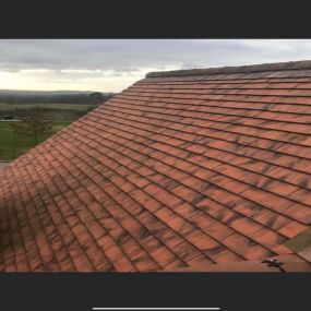 Bild von GMG Roof Experts