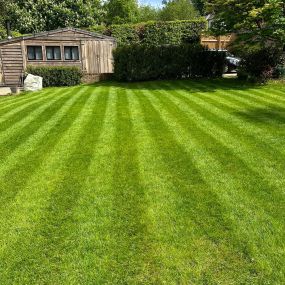 Bild von Surrey Total Lawn Care