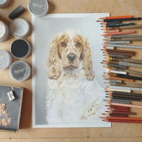 Bild von Steve Barker Pet Artist