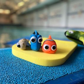 Bild von South West Swimming School