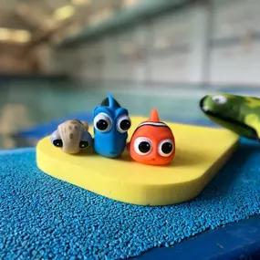 Bild von South West Swimming School