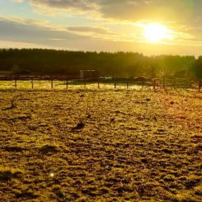 Bild von Rozelle Alpacas