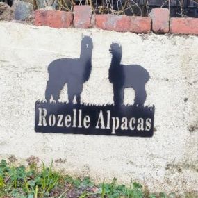 Bild von Rozelle Alpacas