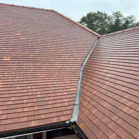 Bild von Cooks & Co.Ltd