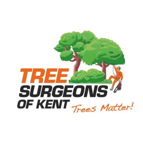 Bild von Tree Surgeons of Kent