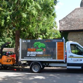 Bild von Tree Surgeons of Kent