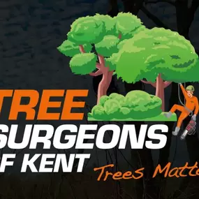 Bild von Tree Surgeons of Kent