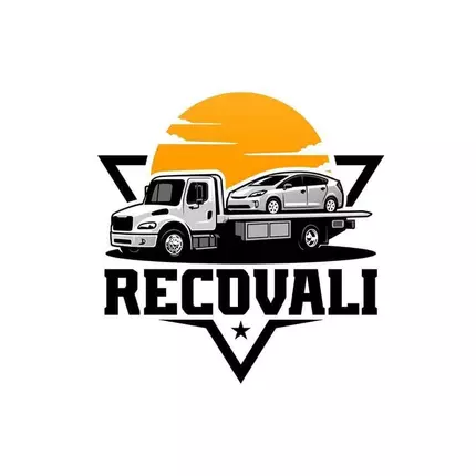 Logo from RecoVali Recovery Services