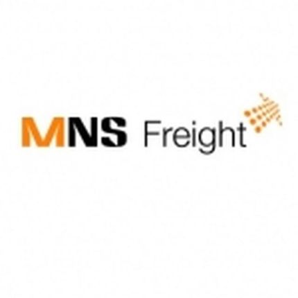 Logo fra M N S Freight Services Ltd