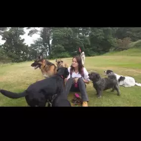 Bild von Jennie's K9 Crew