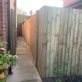 Bild von Gwynedd Garden Services
