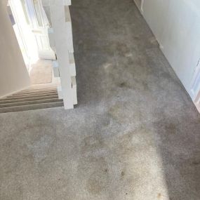 Bild von Carpet & Gutter Cleaning Service