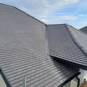 Bild von Daly Roofing Services