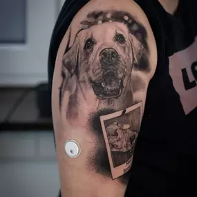 Bild von Extreme Tattoo