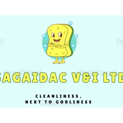 Logo von Sagaidac V&I Ltd