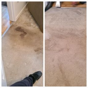 Bild von Carpet Clean