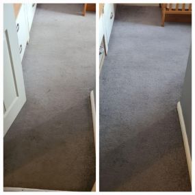 Bild von Carpet Clean