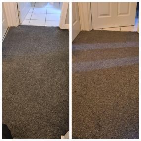 Bild von Carpet Clean