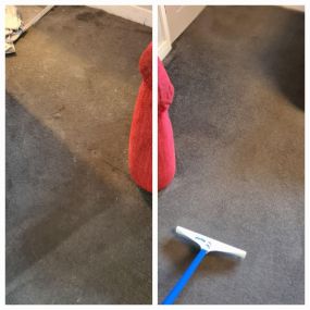 Bild von Carpet Clean