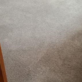 Bild von Carpet Clean