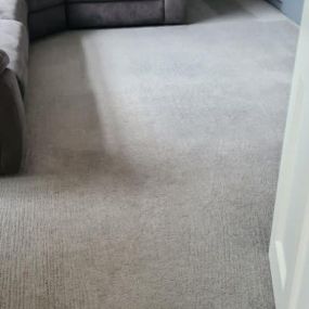 Bild von Carpet Clean