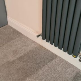 Bild von Carpet Clean