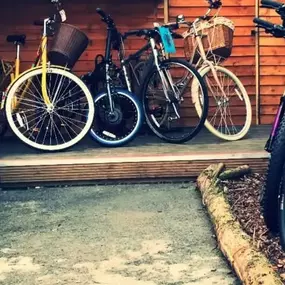 Bild von Bike Station UK Ltd