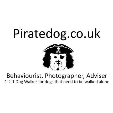 Logo fra Pirate Dog