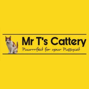 Bild von Mr T's Cattery