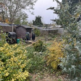Bild von SF Garden Services & Grounds Maintenance
