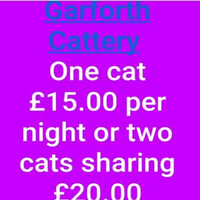 Bild von Garforth Cattery