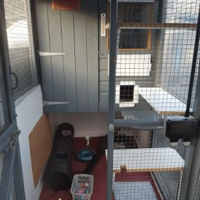 Bild von Garforth Cattery