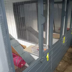 Bild von Garforth Cattery