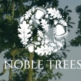 Bild von Noble Trees