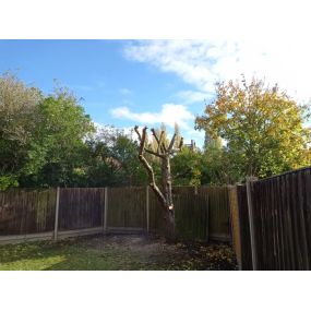 Bild von Lincs Fencing & Gardening Services