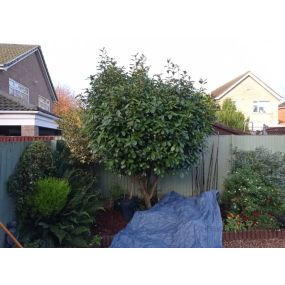 Bild von Lincs Fencing & Gardening Services