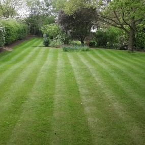 Bild von Lincs Fencing & Gardening Services