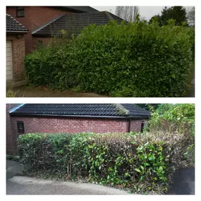 Bild von Lincs Fencing & Gardening Services