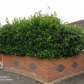 Bild von Lincs Fencing & Gardening Services